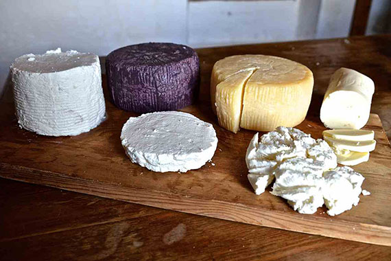 Traditional cheeses of Paros